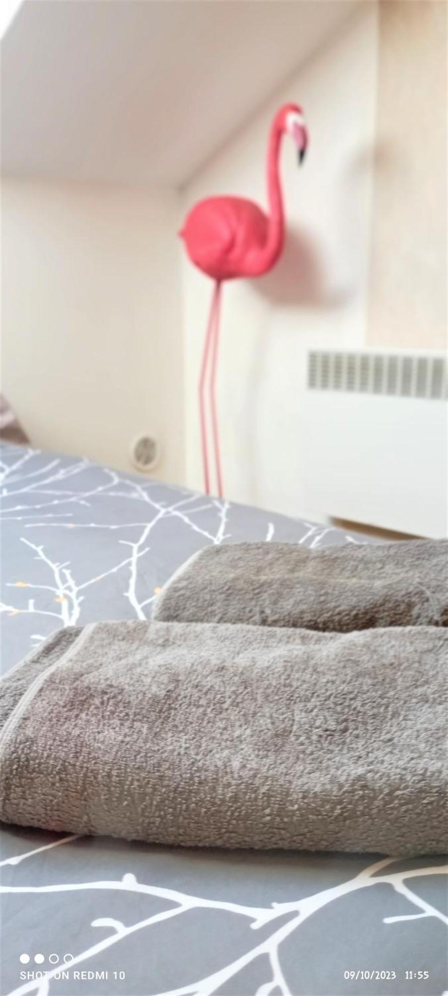 Studio Double 13 Avec Wifi Лимож Экстерьер фото